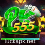 PK555 game