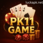 PK11 game