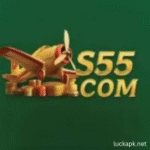 S55 Game