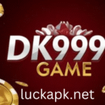 DK999 Game
