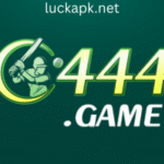 C444 Game