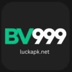 BV999 Game