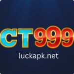 CT999 Game