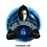 Mr Robot FF