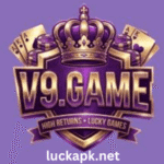 V9 Game