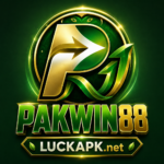 PAKWIN88 Game